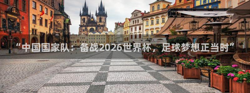 世界杯预选赛亚洲区赛程：“中国国家队：备战2026世界杯，足球梦想正当时”