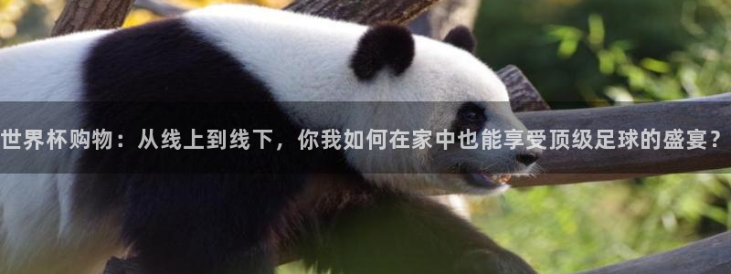 世界杯在线直播：世界杯购物：从线上到线下，你我如何在家中也能享受顶级足球的盛宴？
