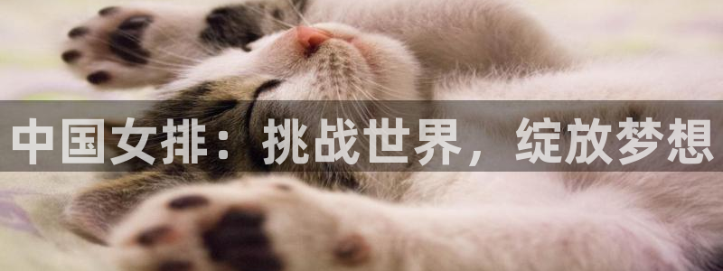 2026足球世界杯赛程时间表：中国女排：挑战世界，绽放梦想
