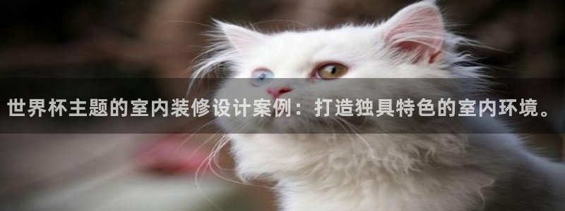 2026世界杯买球：世界杯主题的室内装修设计案例：打造独具特色的室内环境。