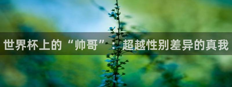 世界杯预选赛欧洲区赛程：世界杯上的“帅哥”：超越性别差异的真我
