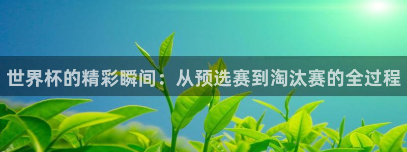 国际足联世界杯：世界杯的精彩瞬间：从预选赛到淘汰赛的全过程