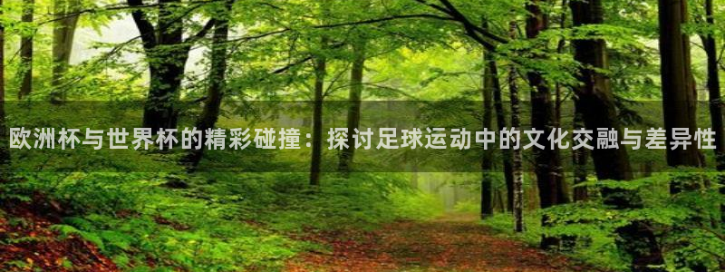 足球世界杯：欧洲杯与世界杯的精彩碰撞：探讨足球运动中的文化交融与差异性