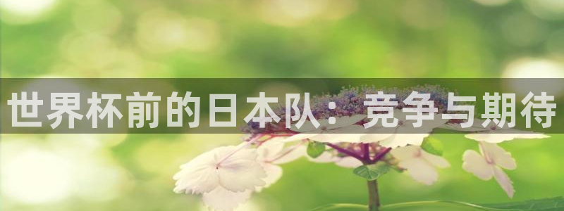今年世界杯：世界杯前的日本队：竞争与期待
