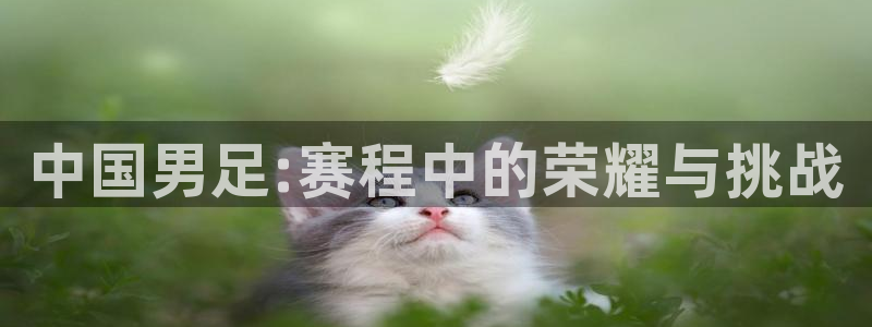 今天所有足球赛程表：中国男足:赛程中的荣耀与挑战