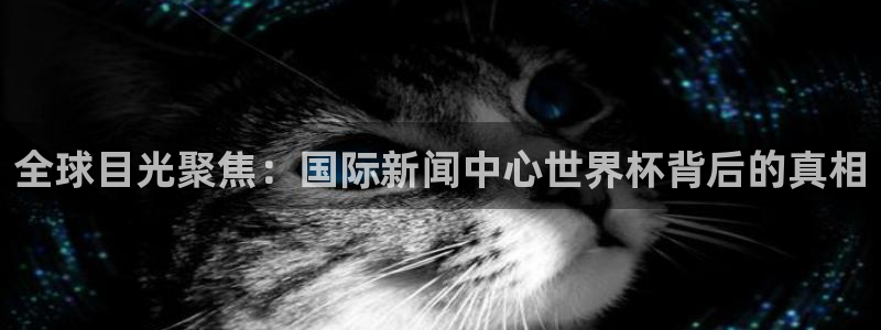 世界杯球赛：全球目光聚焦：国际新闻中心世界杯背后的真相
