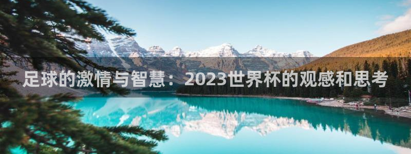 2026年足球世界杯赛程时间表：足球的激情与智慧：2023世界杯的观感和思考